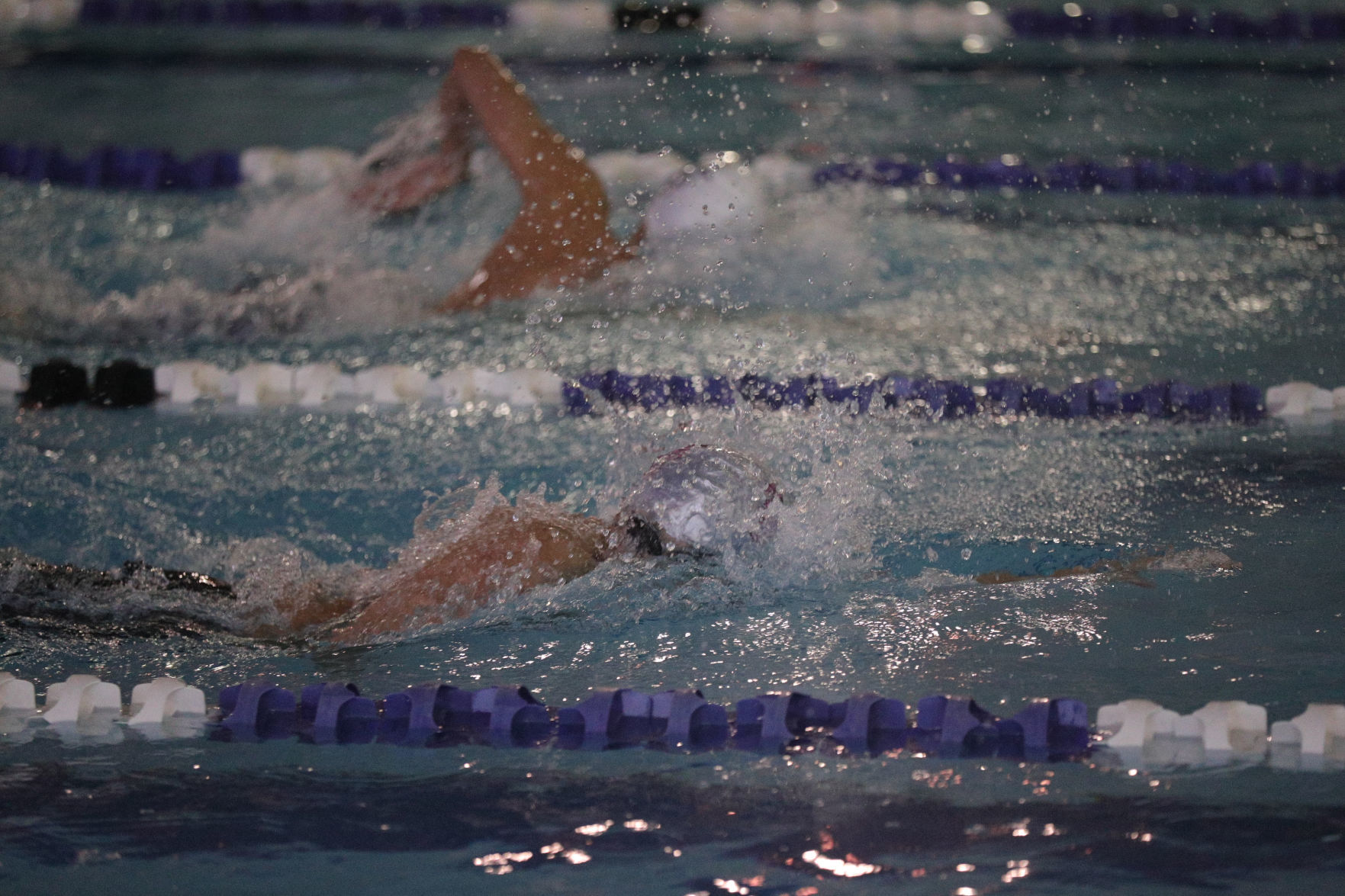Cal swim meet